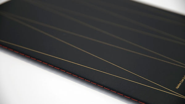 Image of close up of spine of "Hairline Crack (a dialogue)" on a white background.