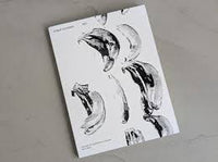 The Front Cover of 'Río' publication which is a white cover showing drawings of bananas in a black and white colour.
